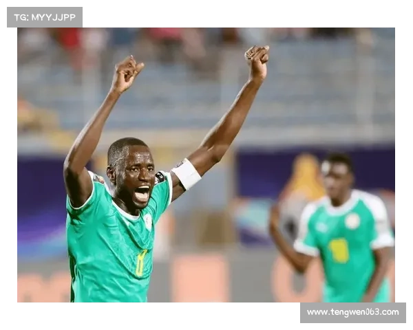 塞内加尔男篮力克喀麦隆强势夺非洲杯季军展现团队实力与竞技风采